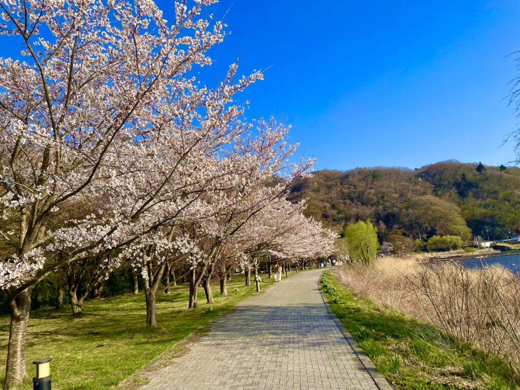 Cycling Roadin Lake Kawaguchi