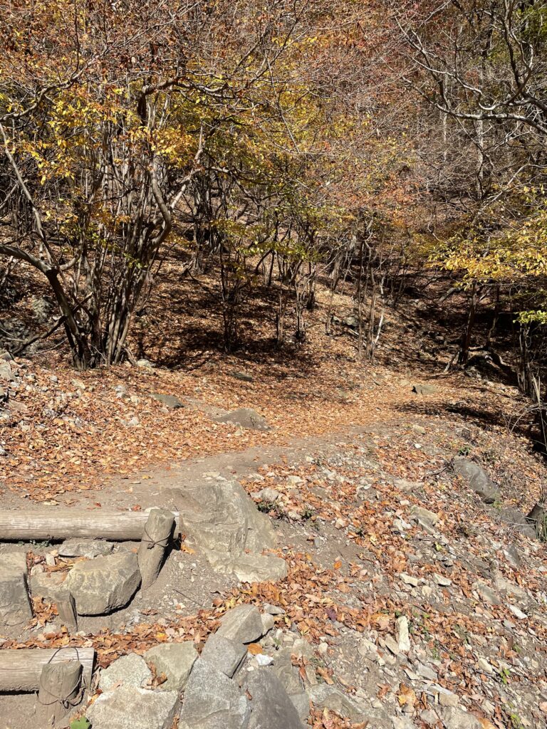 Unpainted gravel paths and stairs
