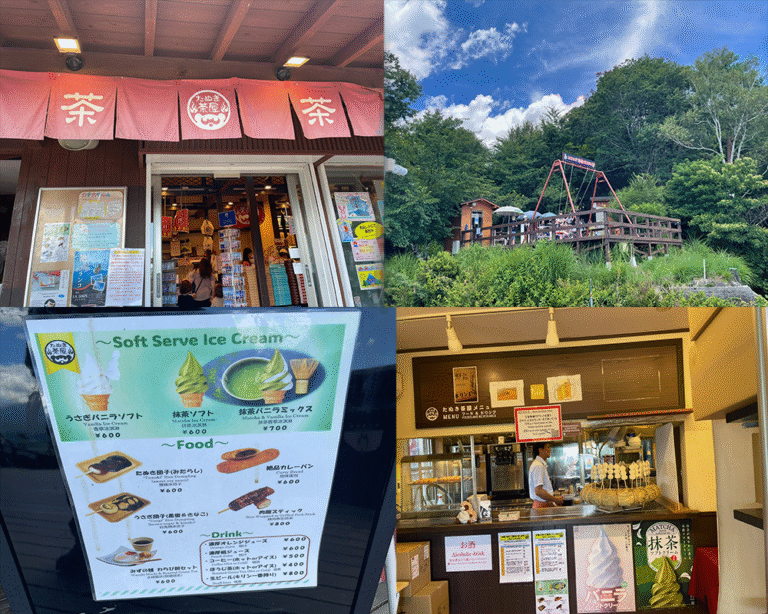 Hike and Ride: Mt. Fuji Panoramic Ropeway & Tenjyozan Trail Experience ...