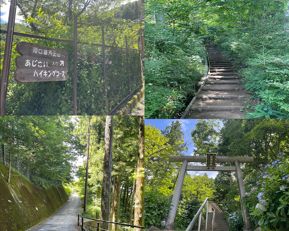 Entrance and hiking trail to Mount Tenjo (Mount Kachikachi)