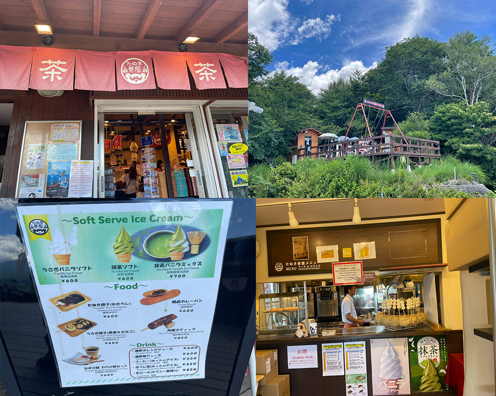 A view of the restaurants and swings at the top of Mount Tenjo (Mount Kachikachi)
