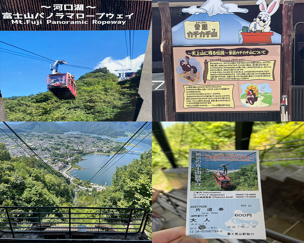 Views and scenery from the ropeway, tickets
