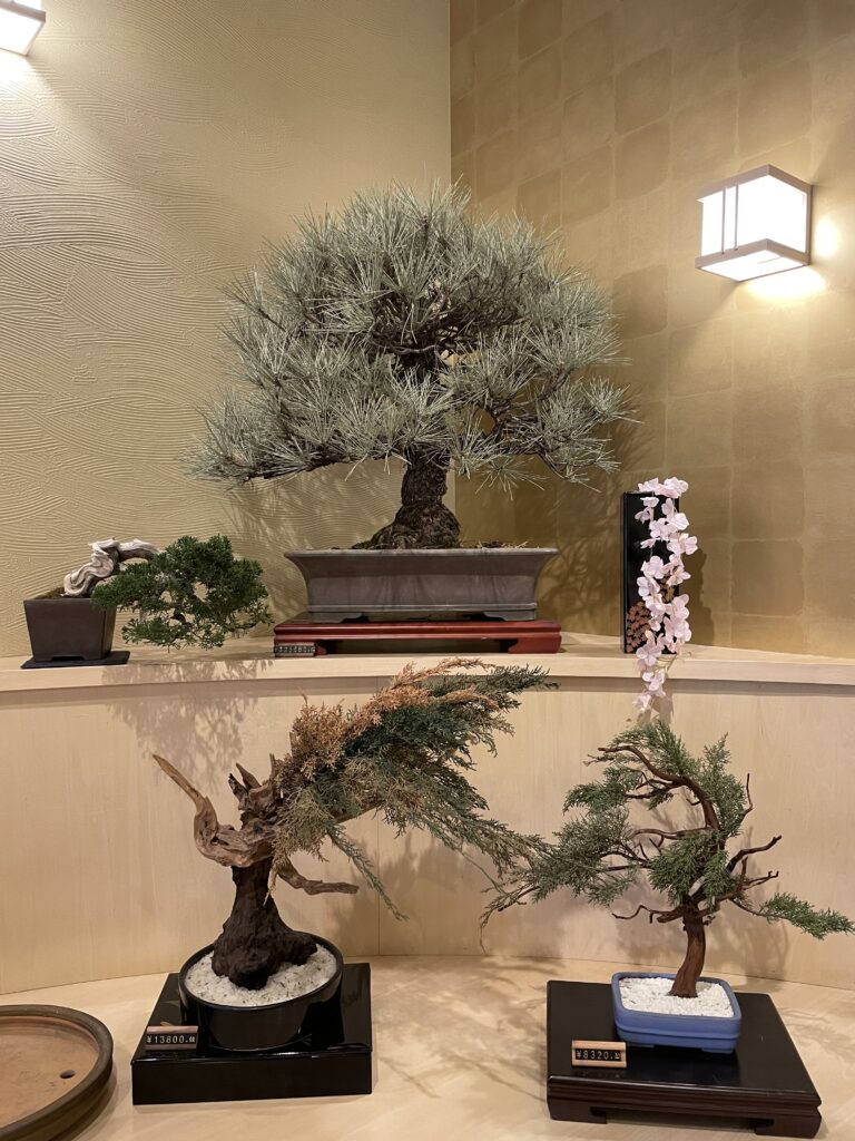 A bonsai shop located on Honmachi Street.